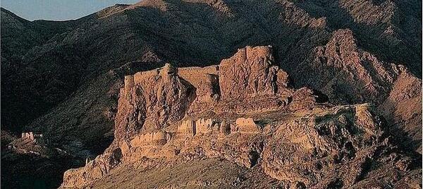 عکسهای میمون قلعه
