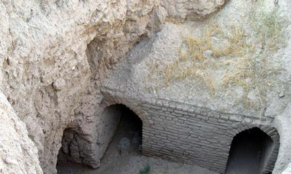 عکسهای میمون قلعه