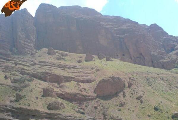 عکسهای میمون قلعه