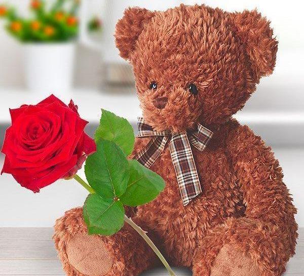 عکس گلهای ولنتاین