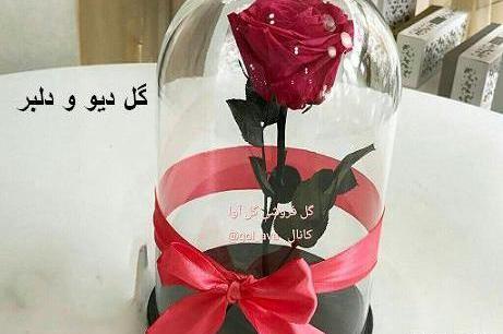 عکس گلهای ولنتاین