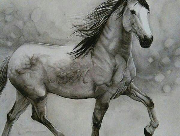 عکس اسب طراحی