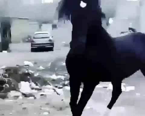 عکس پویا بقایی