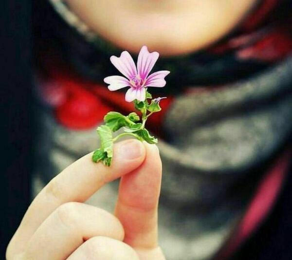 عکس رویا امیرخانی