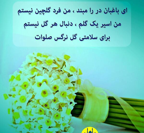 عکس نوشته گل نرگس امام زمان