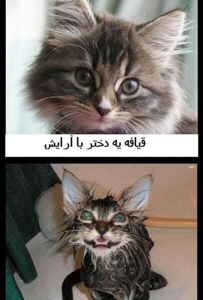 عکس طنز خنده
