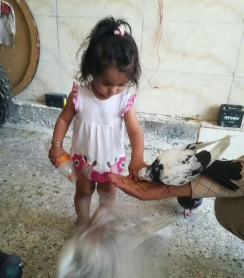 عکس حلما سادات