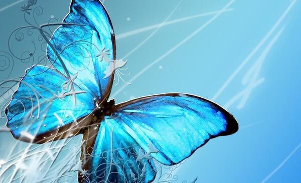 عکس پروانه های زیبا برای پروفایل