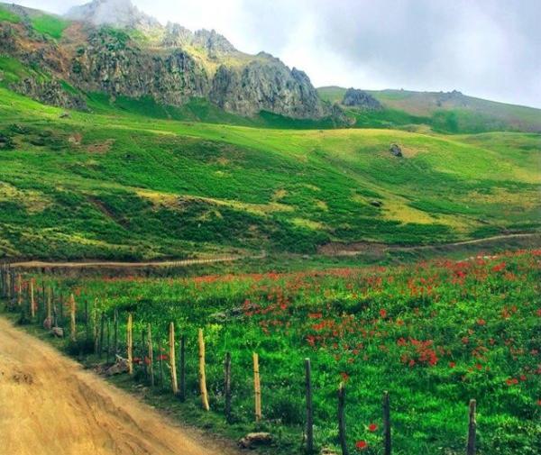 عکس طبیعت کره زمین