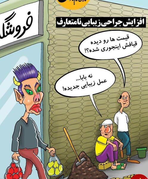 عکس بابا گربه