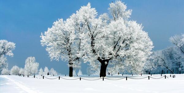 عکس منظره زیبای زمستانی