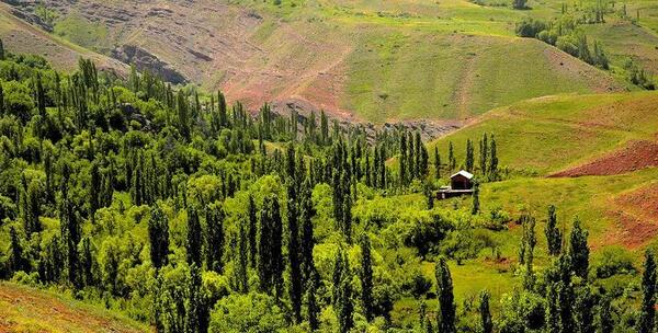 عکس طبیعت طبیعی ایران