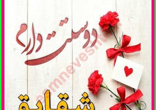 عکس عشقم شقایق