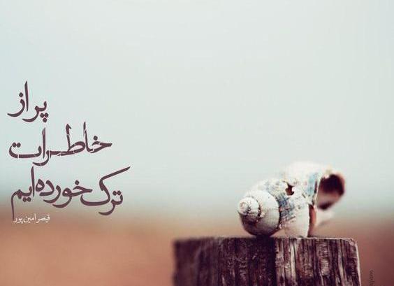 عکس نوشته مریم قهرمانلو
