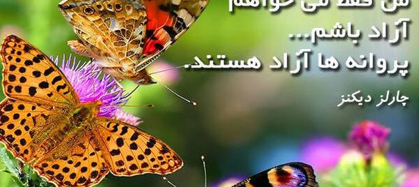 عکس نوشته در مورد پروانه