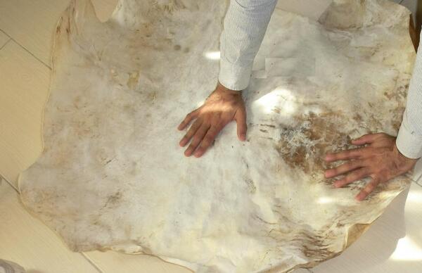 عکس حضرت علی روی پوست اهو