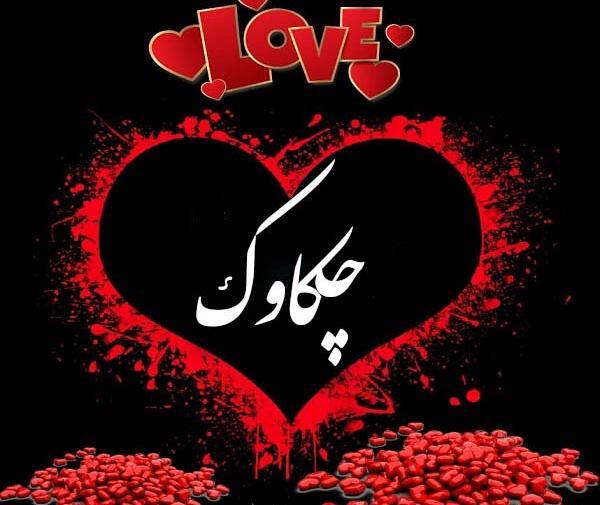 عکس گل چکاوک