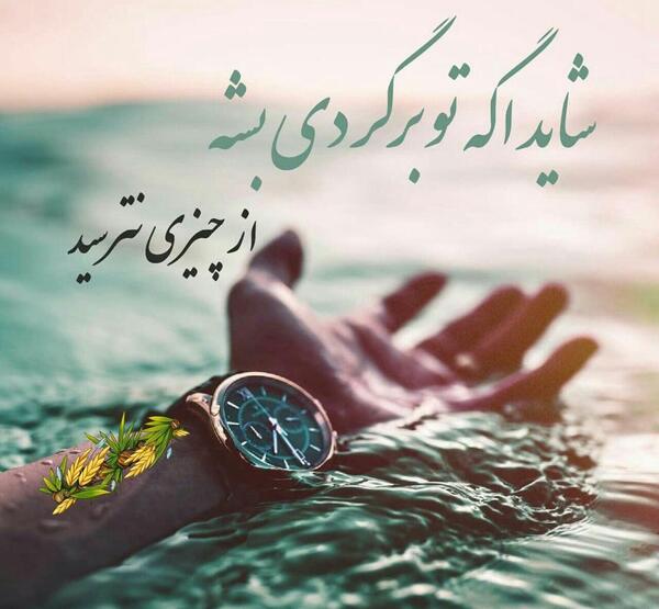 عکس نوشته نیلوفر یعنی