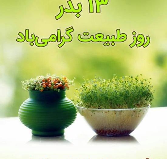 عکس سال نو طبیعت