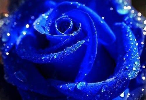عکس زیبا آبی