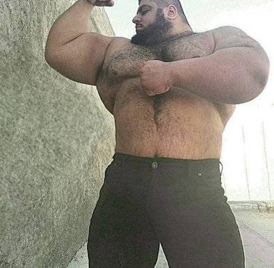 عکس های سجاد غریبی