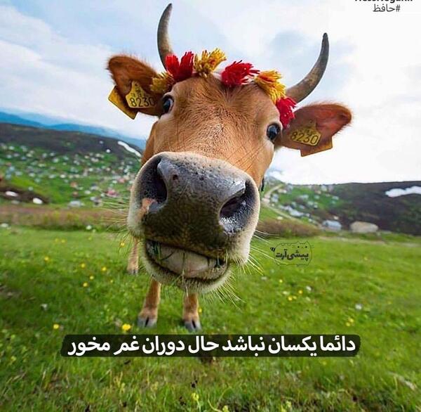 عکس نوشته شادی و غم