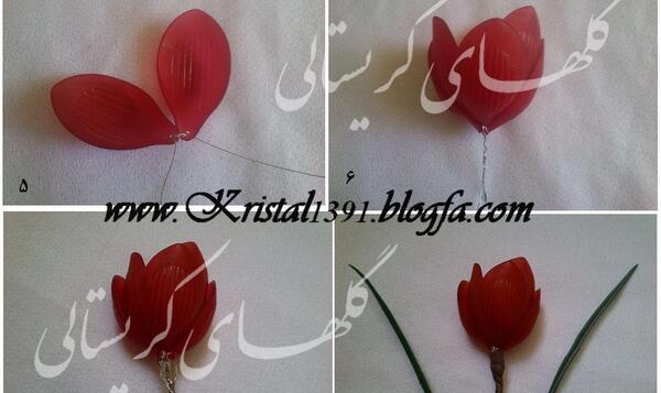 عکس گل لاله واژگون کریستالی