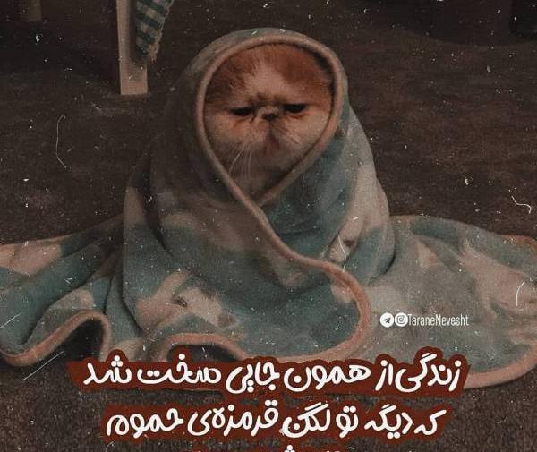 عکس نوشته سخت بود ولی شد