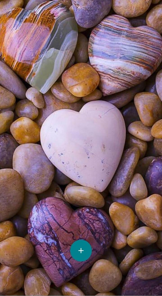 عکس قلب صدف