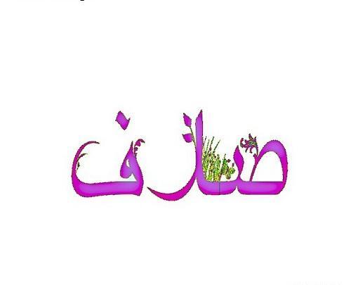 عکس قلب صدف