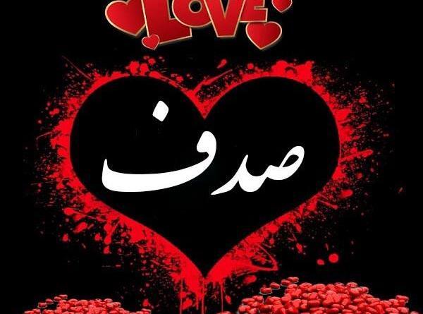 عکس قلب صدف