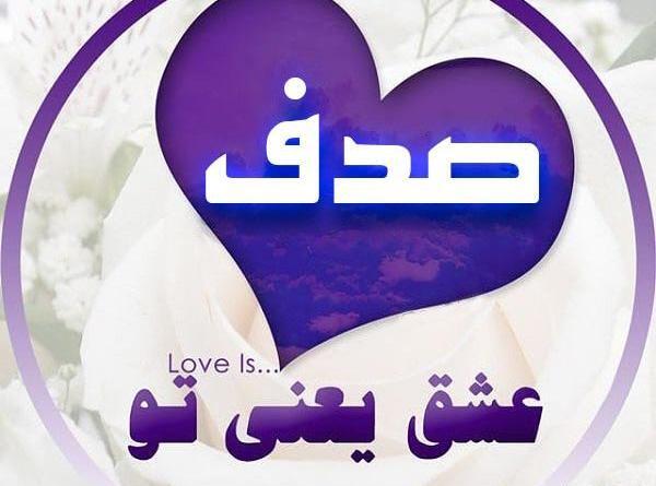 عکس قلب صدف