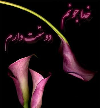 عکس نوشته خدایا عشقمو بهم برگردون