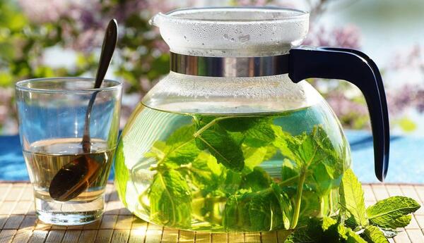 عکس چای نعناع
