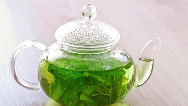 عکس چای نعناع
