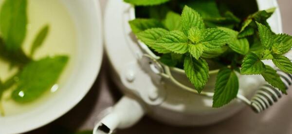 عکس چای نعناع