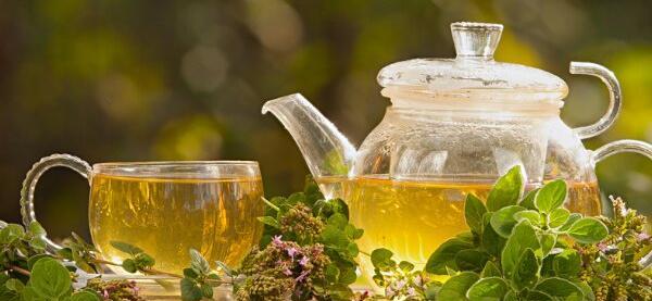 عکس چای نعناع