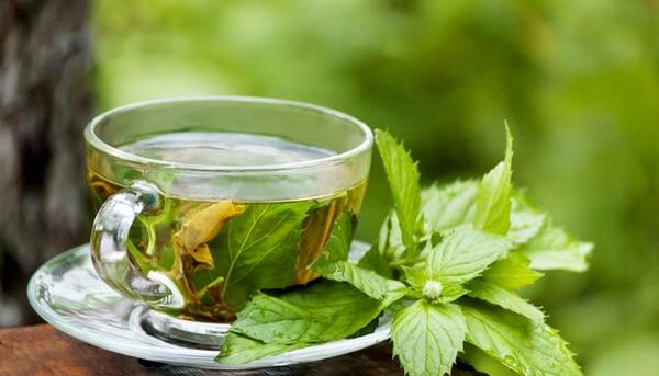 عکس چای نعناع