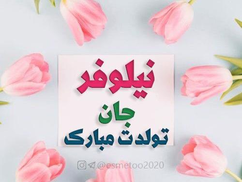 عکس تولدت مبارک نیلوفر جان