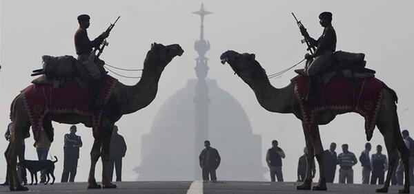عکس شتر هندوستان