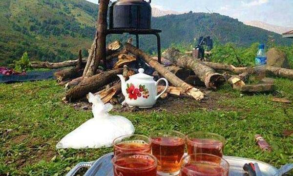 عکس چای فانوس