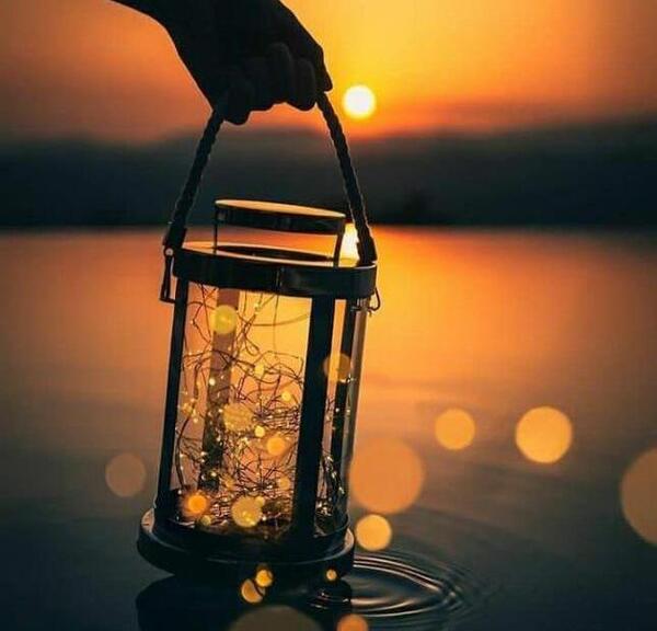 عکس چای فانوس