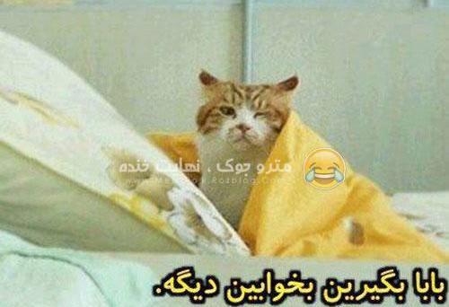 عکس خنده دار ظهر بخیر