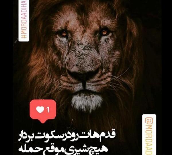 عکس نوشته شیر برای پروفایل
