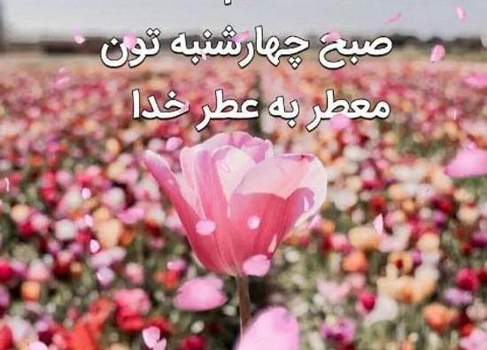 عکس صبح بخیر روز سه شنبه