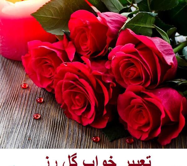 عکس گل رز در حال سوختن