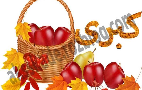 عکس نوشته مامان کبری
