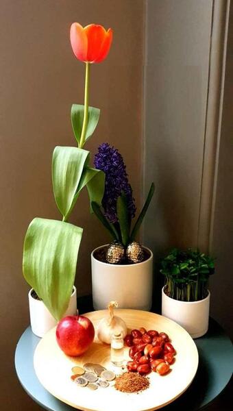 چند تا عکس از سفره هفت سین
