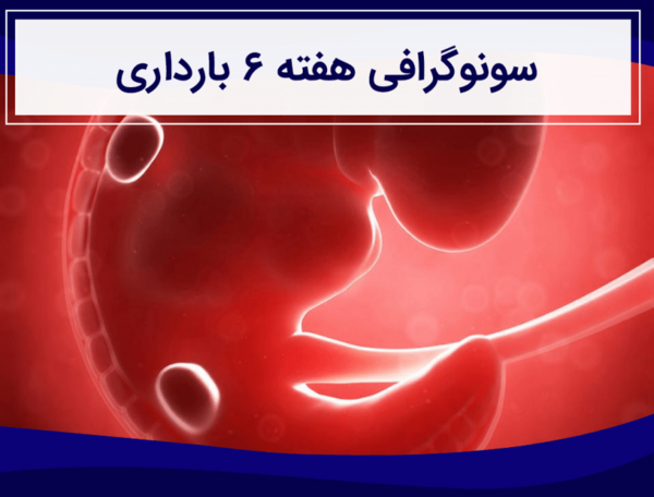 عکس جنین سقط شده شش هفته ای