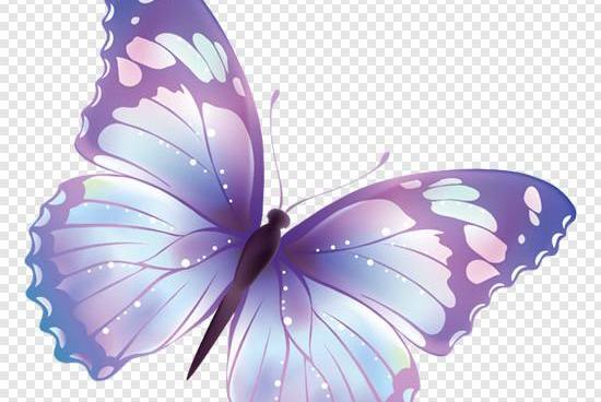 عکس های پروانه ثابت مدل ایرانی
